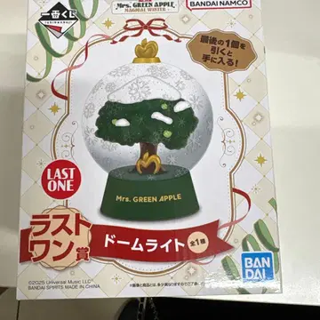 Mrs. GREEN APPLE 돔 라이트 라스트 원 상