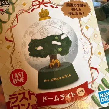 미세스 제일복권 라스트 원 돔 라이트