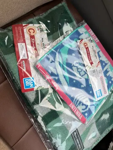 GANDAN C 스톨 카모 패턴과 파란색 무늬