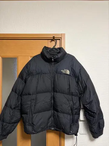 THE NORTH FACE 눕시 다운 자켓
