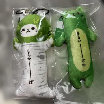 [나가노 한정판] 늘어나는 고양이 2개 세트