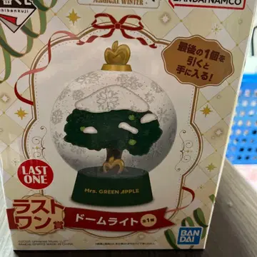 Mrs. GREEN 4APPLE 돔 라이트 LAST ONE