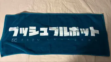 푸시풀포트 타월