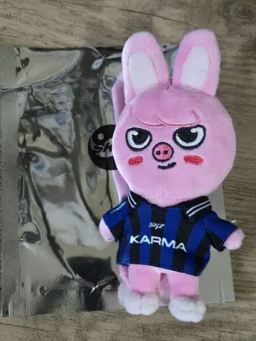 Straykids SKZOO VER 키링 돼끼 창빈