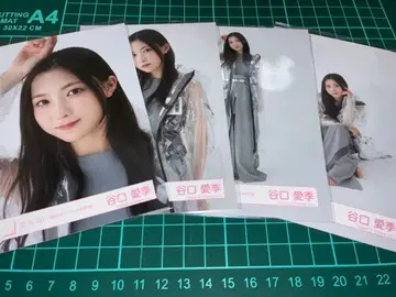 사쿠라자카46 타니구치 아이리 브로마이드 컴프 승인욕구 자켓 사진 의상