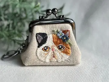 손자수 고양이의 작고 통통한 가마구치 삼색 고양이 이그조틱 숏헤어