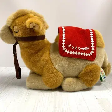 돗토리 대사구 돗토리 사구 낙타 봉제 인형 CUTE