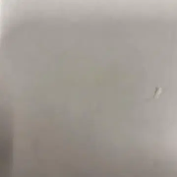 제츠 드라이버 구매 혜택 제츠 고치조 & 고치조 캡슐