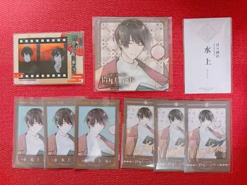 하시히메 수상 세트