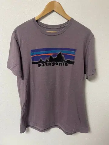 patagonia 남성용 T셔츠 L 그레이