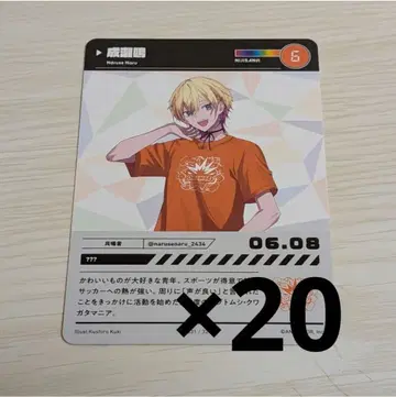 니지산지 나루세 나루 니지 페스티벌 컬렉션 카드 x 20