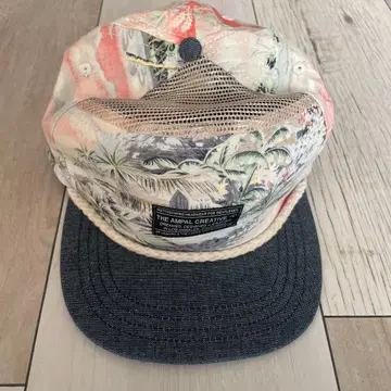 캡 THE AMPAL CREATIVE