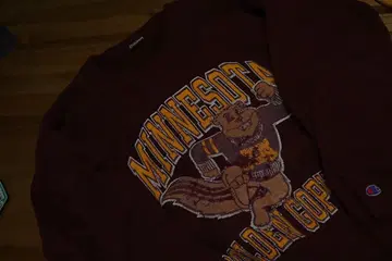 챔피언 리버스 위브