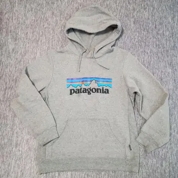 patagonia 그레이 후드 부착 후드티