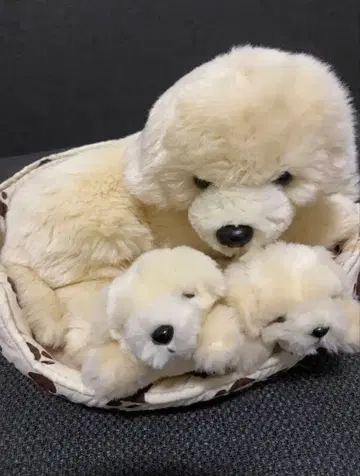 강아지 모자 봉제 인형 세트 (침대 포함)