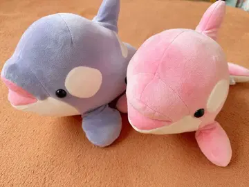 스마 수족관 범고래 샤치 봉제 인형 핑크 보라