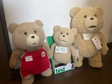 TED 봉제 인형 등신대