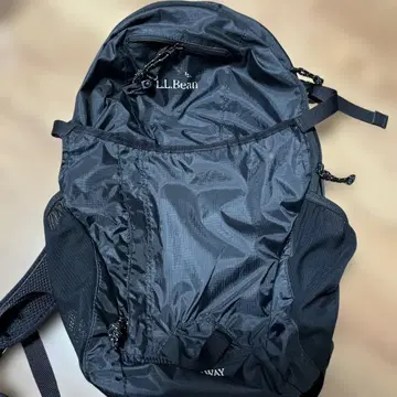 알뜰한 L.L.Bean 블랙 백팩