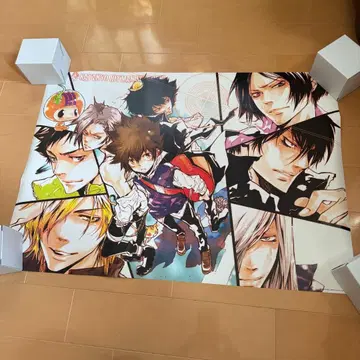 점프 페스타 2009 한정판 가정교사 히트맨 REBORN! B2 포스터