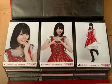 전 노기자카46 생사진 이쿠타 에리카 크리스마스 라이브 의상3 3종 컴프