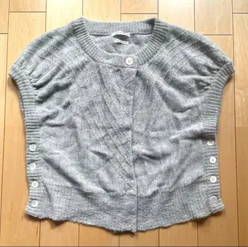 bulle de savon 뷔르데사봉 알파카 베스트 그레이