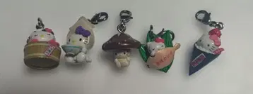 지역 한정 키티 스트랩 5종 세트