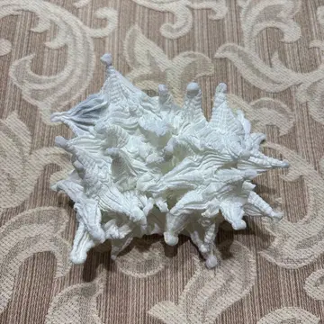 BUNZABURO 초커 팔찌 뱅글