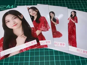 사쿠라자카46 타니구치 아이리 브로마이드 컴프 썸머 원피스