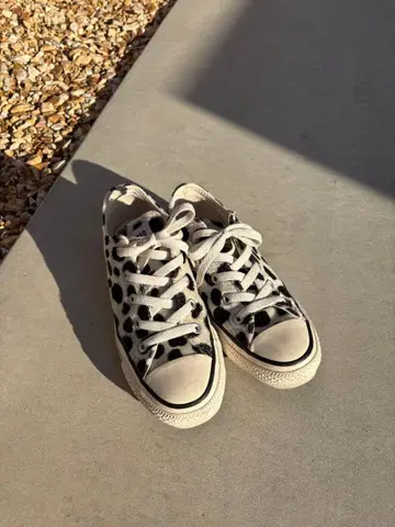 CONVERSE ALL STAR 달마시안 패턴 스니커즈
