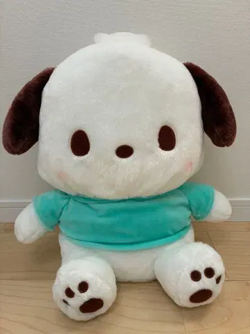 산리오 포차코 초 BIG 봉제 인형