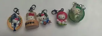 지역 한정 키티 스트랩 5개 세트