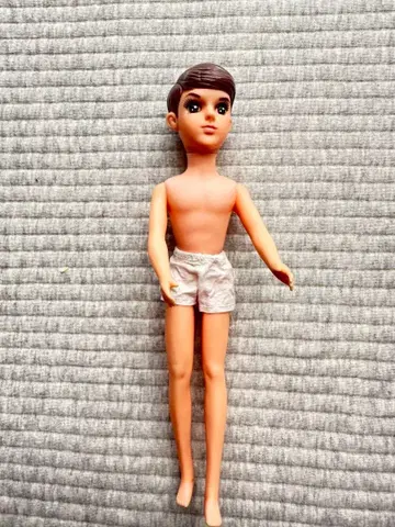 초대 리카짱의 보이프렌드 초대 와타루 군