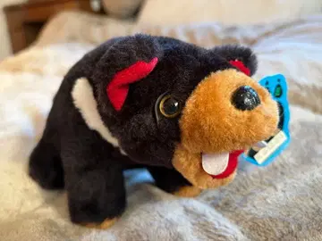 태즈메이니아 데빌 봉제 인형 태즈메이니아 섬에서 구매