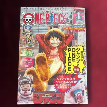 원피스 매거진 프로모션 포함