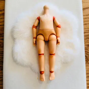 몬스트 바디 [갈색 염색]