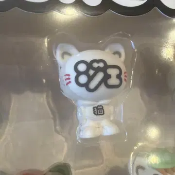 GENERATIONS GENE 제 고양이 6IX PIECE 앨범