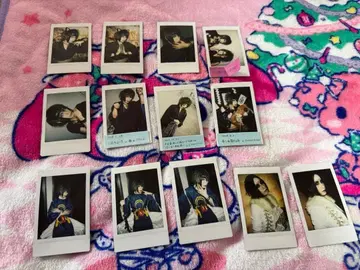 진 천지개벽집단 지그재그 아오시 폴라로이드