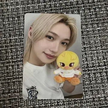 스키즈 필릭스 주토피아 트레이딩 카드