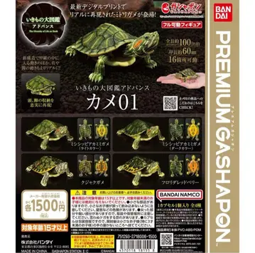 생물대도감 어드밴스 거북 01 전 4종 세트 미사용 새상품 배송비 포함