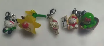 25 지역 한정 키티 5종 세트 키링