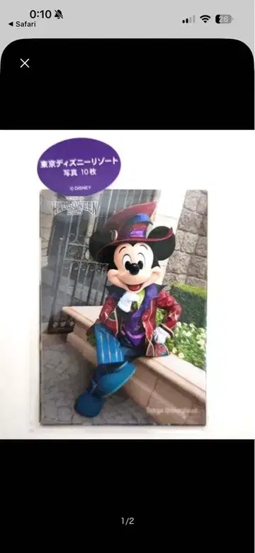 디즈니 할로윈 2025 사진 세트 프렌지 할로윈