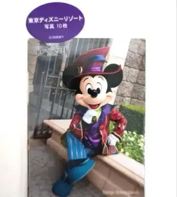 디즈니 할로윈 2025 사진 세트 프렌지 할로윈