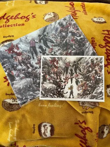 나의 히어로 아카데미아 원화전 클리어 파일 엽서 세트 히로아카