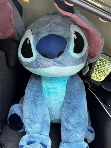 코스트코 거대 스티치