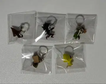 리틀 나이트메어 메지루시 액세서리 전 5종 컴플리트 세트 컴프