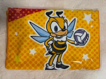 제이텍트 STINGS 아이치 울프독스 나고야