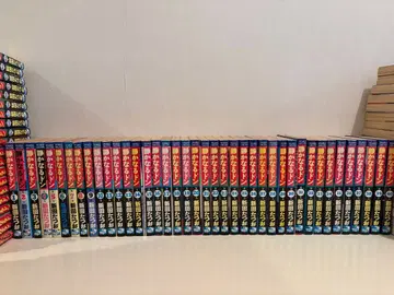 조용한 돈 100권 세트