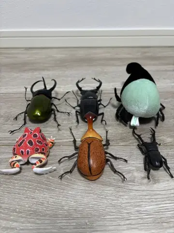 곤충 피규어 세트 6개