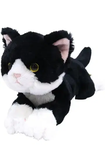 산레몬 무릎고양이 하치와레 ss 사이즈