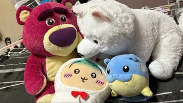 봉제 인형 세트